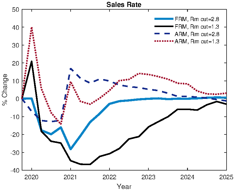 (c) Path dependency: sales rate
